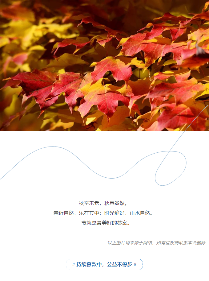 6df107ed4dbe1aeab80ce538fb5c49f.png