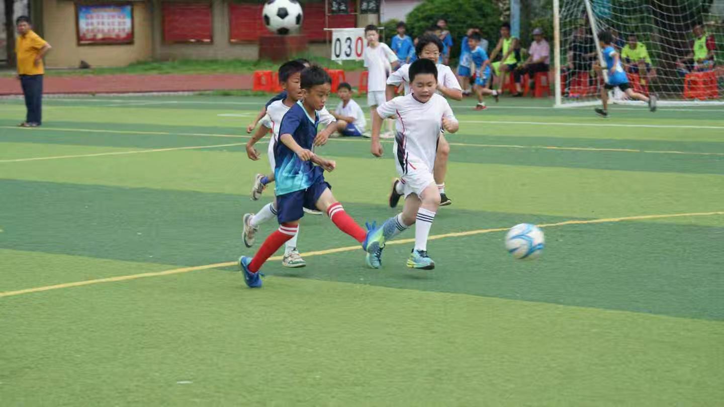 2d25c9a719cb4243b173b605b604fee7epand__jpg.heic~tplv-flrovnc8r8-s2-cC-q_0_0_0_0_q0.jpg