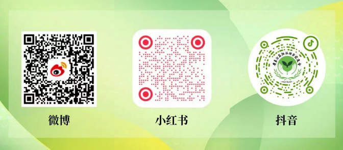 1754533002709.png
