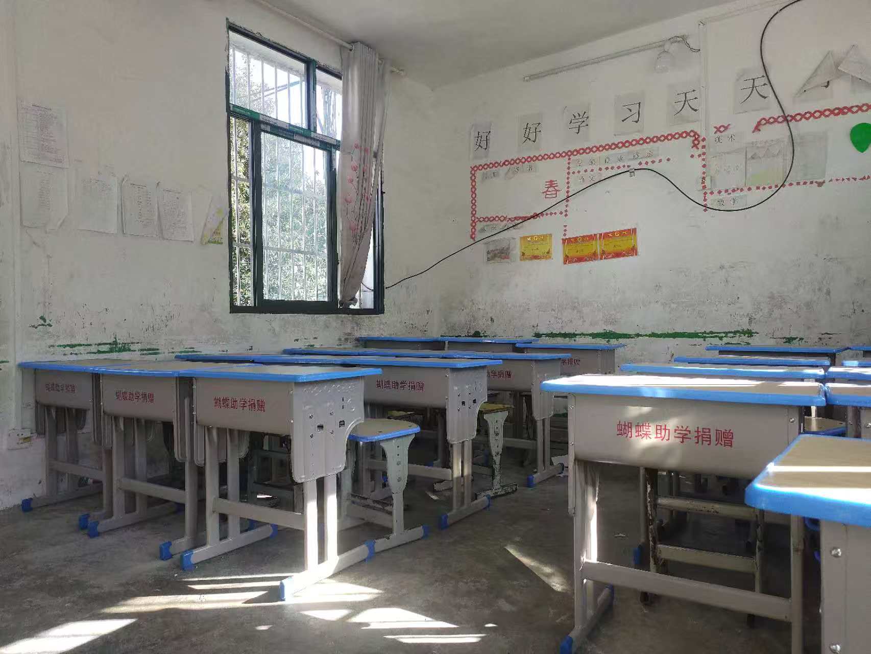 ������ (6).jpg